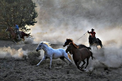 Horse Chase in Dust.jpg