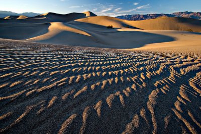 Death Valley Sand Dune Ripples.jpg