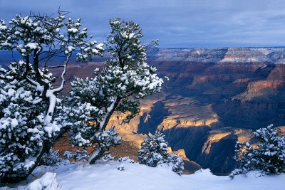 Snowfall at Grand Canyon.jpg