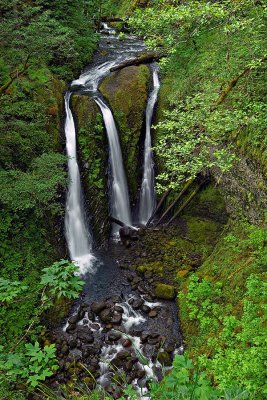 Oregon and the Coast