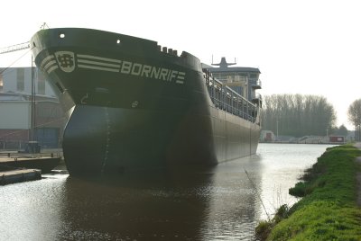 Bornrife bij Waterhuizen