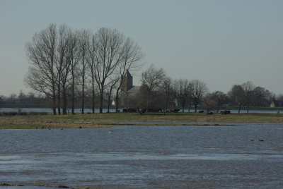 in de IJssel.jpg