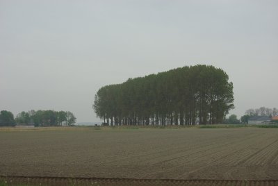 akkerbouw a.jpg