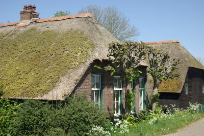 aan de dijk Zwolle Hasselt.jpg