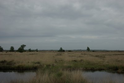 Fochtelorveen