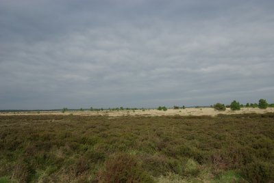 Fochtelorveen