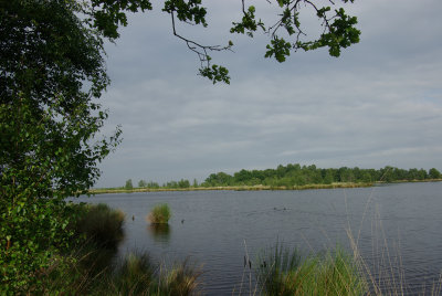 Fochtelorveen