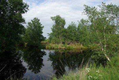 Fochtelorveen