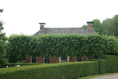 Westerwijtwerd 