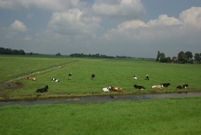 langs de dijk 