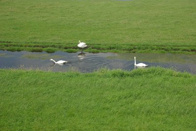 langs de dijk 