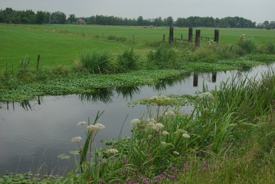 Jochem Albedaweg.jpg