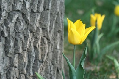 IMG_7214.JPG