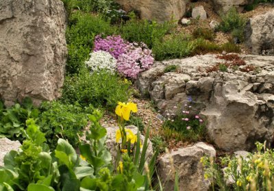 Rock Garden1.jpg