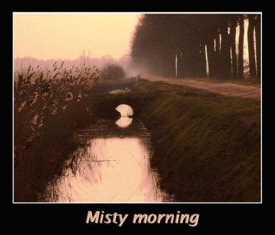 misty morning.jpg
