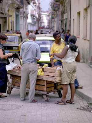 veggie salespoint