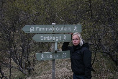 Hvert skal halda?