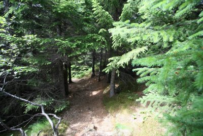 IMG_1453.JPG