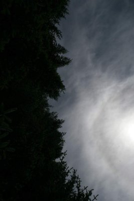 IMG_1458.JPG