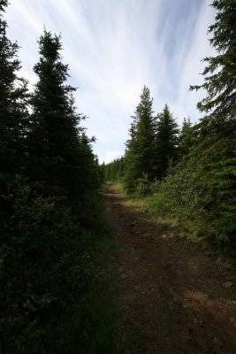 IMG_1464.JPG