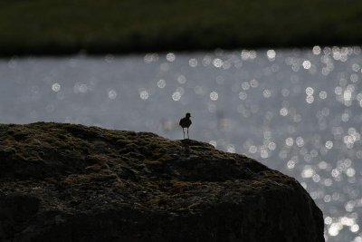 IMG_1615.JPG