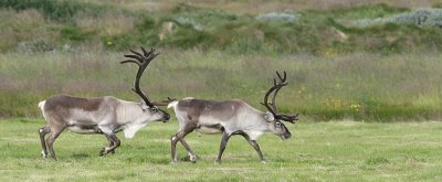IMG_2253.JPG