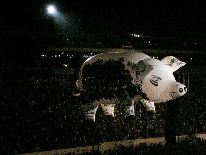 Giant pig balloon during Roger Waters set