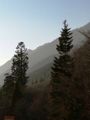 Wasatch dusk.JPG