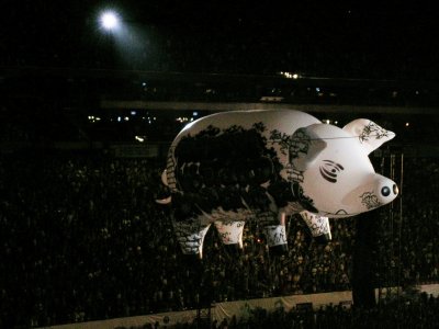 Giant pig balloon during Roger Waters' set