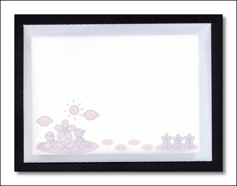 Envelope in a Velum Envelope.jpg