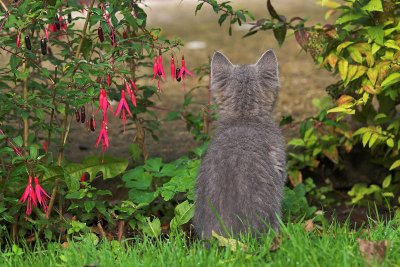 What a wonderful world !