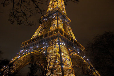 The Eiffel Tower (2)