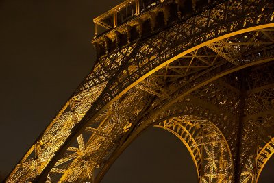 The Eiffel Tower (14)