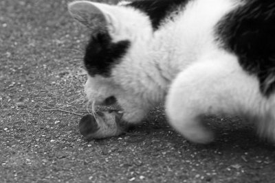 First catch (3)