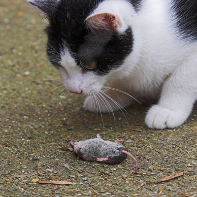 First catch (4)