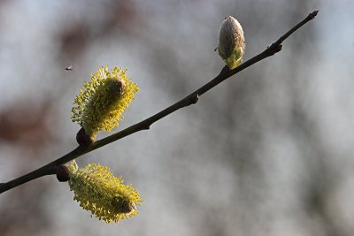 g6/29/406229/3/77103313.5kBW7O0L.jpg