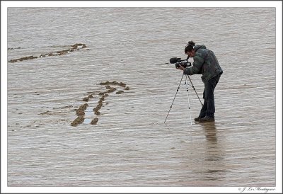 Cameraman  on the beach