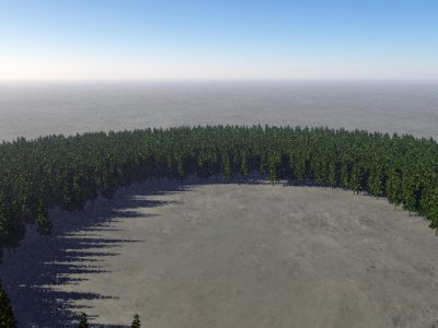 trees-in-field.jpg