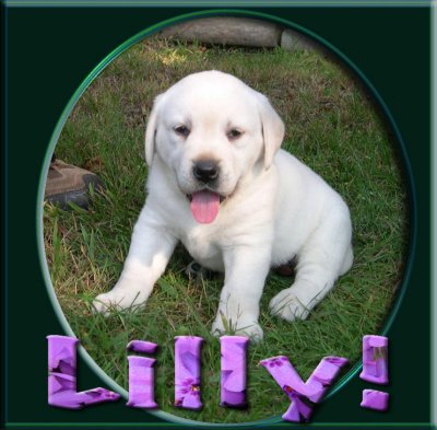 I think that Lilly would be a great name for her, we just have to work this thru the family.