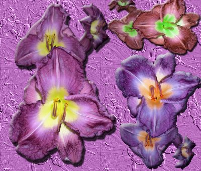 Tis fun to make the texture, then take the flower and put it on top,
and changing their colors slightly.
Sad that this class is coming to an end, I would like to take it all over again!