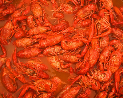 Crawfish