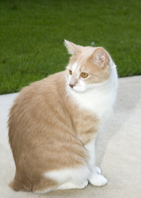Toby3