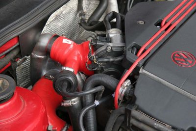IMG_1284_1024.jpg