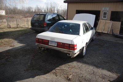 Sans rear bumper