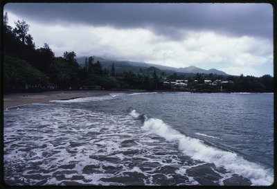 maui 86-090w.jpg