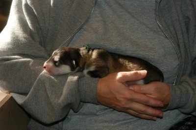 DSC_8399.JPG