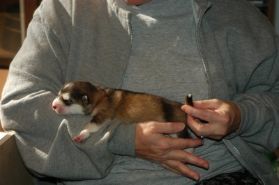 DSC_8418.JPG