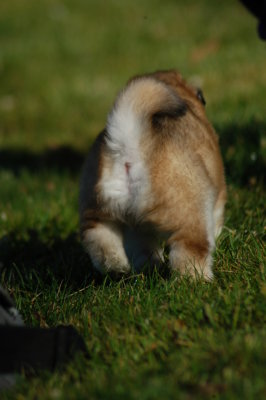 DSC_9066.JPG