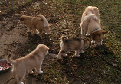 DSC_9842_cr.jpg