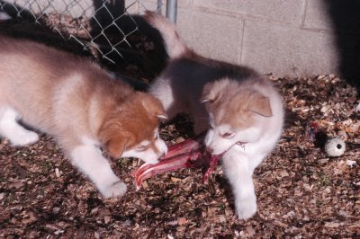 DSC_9898.JPG